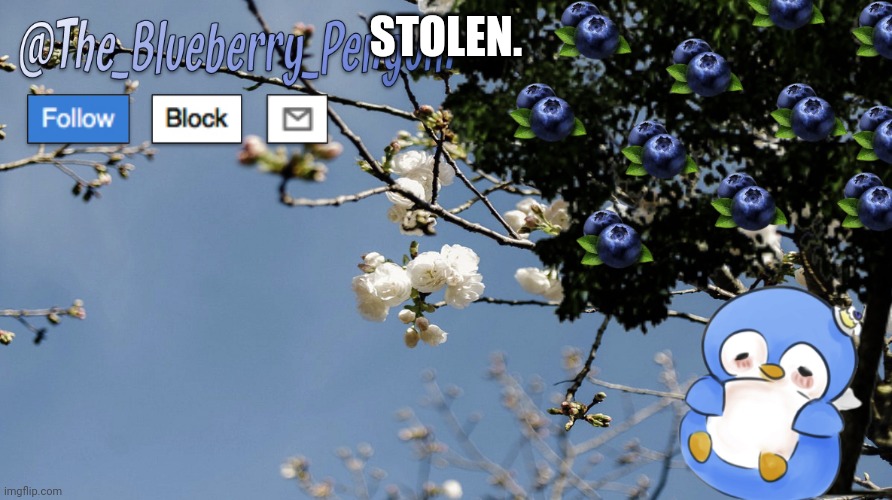 The_Blueberry_Penguin's Template | STOLEN. | image tagged in the_blueberry_penguin's template | made w/ Imgflip meme maker