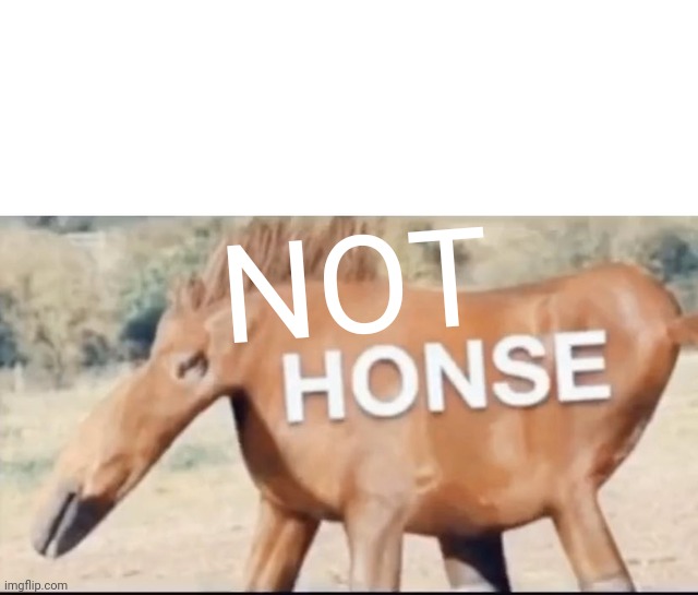 honse | NOT | image tagged in honse | made w/ Imgflip meme maker