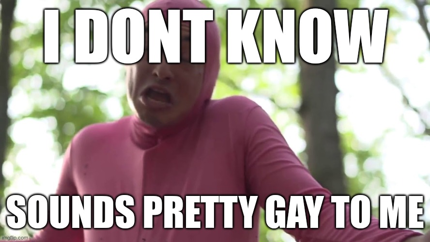 Sounds pretty gay | I DONT KNOW SOUNDS PRETTY GAY TO ME | image tagged in sounds pretty gay | made w/ Imgflip meme maker