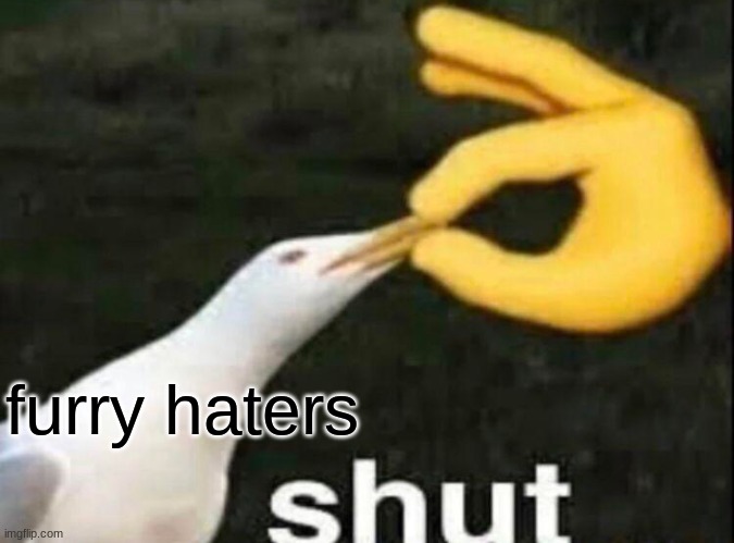 SHUT | furry haters | image tagged in shut | made w/ Imgflip meme maker