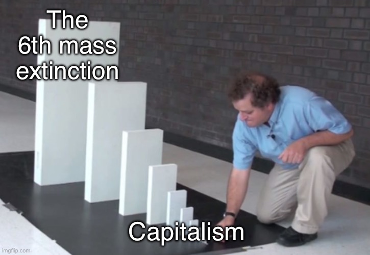 Capitalism -> the 6th mass extinction | The 6th mass extinction; Capitalism | image tagged in domino effect,political meme,leftists,politics,climate change,because capitalism | made w/ Imgflip meme maker