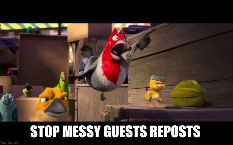 Birds army | STOP MESSY GUESTS REPOSTS | image tagged in birds army | made w/ Imgflip meme maker