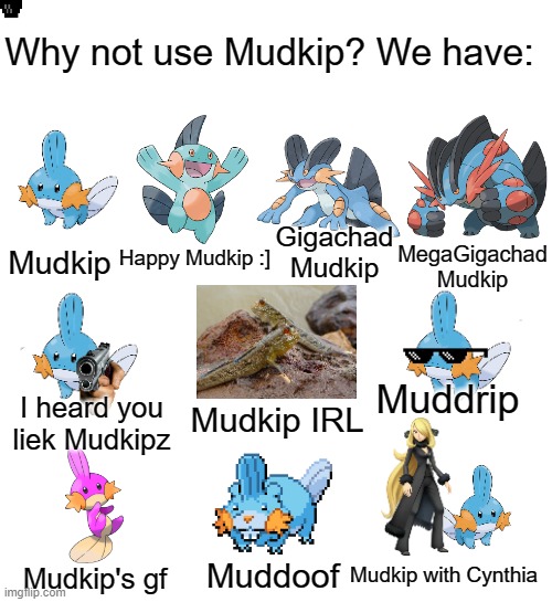 So I herd you liek Mudkipz eh? | Why not use Mudkip? We have:; Gigachad Mudkip; MegaGigachad Mudkip; Happy Mudkip :]; Mudkip; Muddrip; I heard you liek Mudkipz; Mudkip IRL; Mudkip with Cynthia; Muddoof; Mudkip's gf | image tagged in memes,meme,pokemon,pokemon memes,mudkip,lol | made w/ Imgflip meme maker
