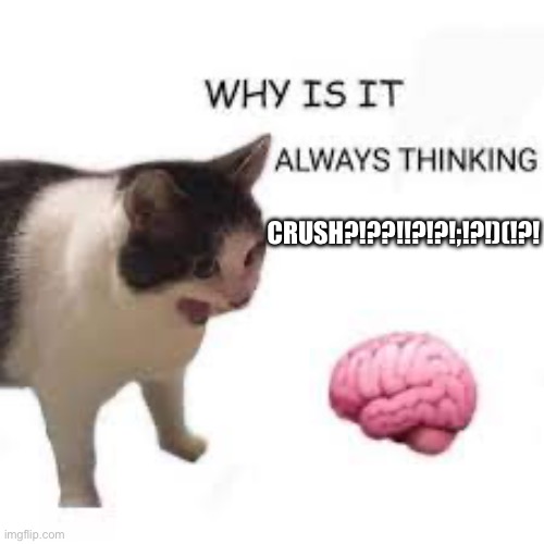WHY IS IT ALWAYS THINKING ABOUT CRUSH?!?!?? | CRUSH?!??!!?!?!;!?!)(!?! | image tagged in cat screaming at brain,bruh,crush,reeeeeeeeeeeeeeeeeeeeee | made w/ Imgflip meme maker