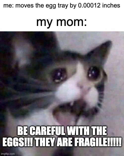 this happens to me too many times | me: moves the egg tray by 0.00012 inches; my mom:; BE CAREFUL WITH THE EGGS!!! THEY ARE FRAGILE!!!!! | image tagged in screaming cat meme,mom,egg | made w/ Imgflip meme maker