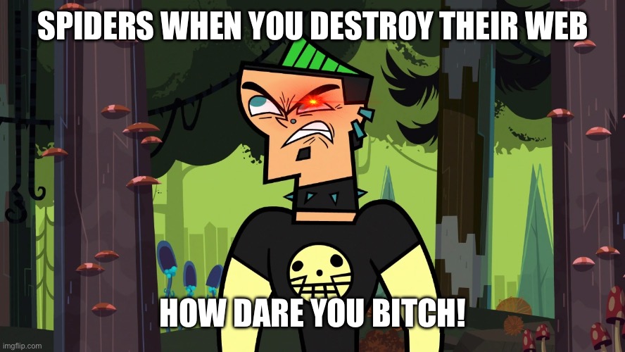 Duncan from Total Drama | SPIDERS WHEN YOU DESTROY THEIR WEB; HOW DARE YOU BITCH! | image tagged in duncan from total drama | made w/ Imgflip meme maker