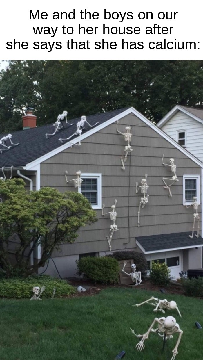 We need...the calcium ☠ | Me and the boys on our way to her house after she says that she has calcium: | image tagged in memes,funny,halloween,spooky month,me and the boys,spooky scary skeletons | made w/ Imgflip meme maker
