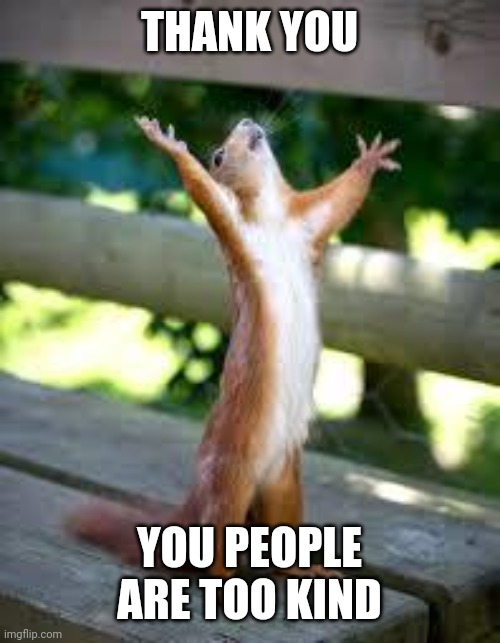 THANK YOU YOU PEOPLE ARE TOO KIND | image tagged in praise squirrel | made w/ Imgflip meme maker