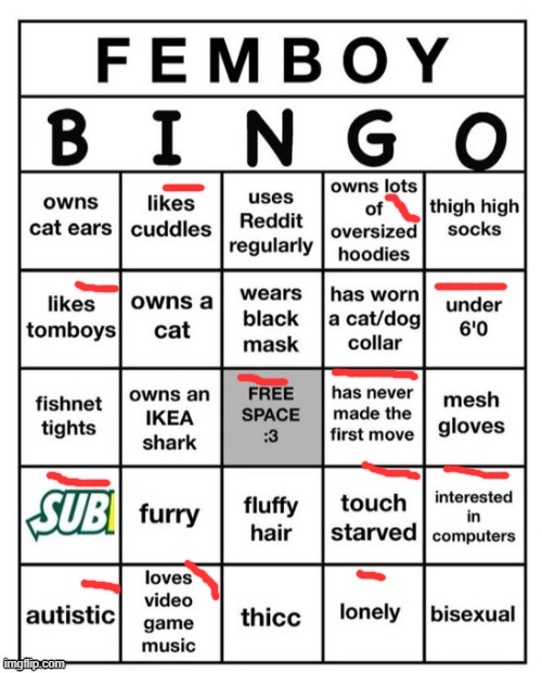 Femboy Bingo | image tagged in femboy bingo | made w/ Imgflip meme maker