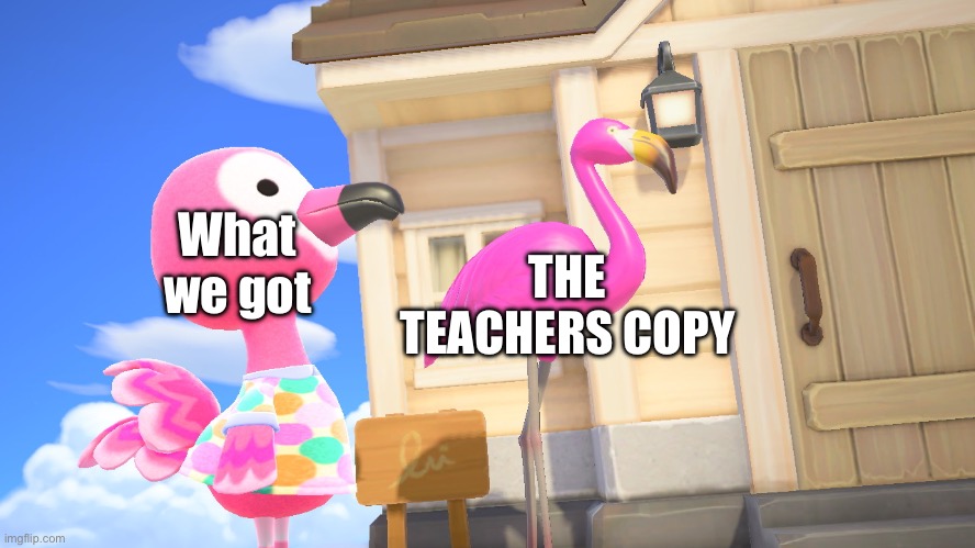 Meme #133 | THE TEACHERS COPY; What we got | image tagged in animal crossing flamingos | made w/ Imgflip meme maker