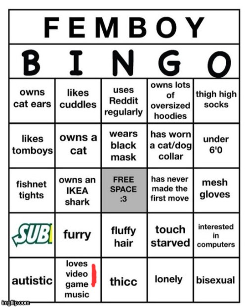 Femboy Bingo | image tagged in femboy bingo | made w/ Imgflip meme maker