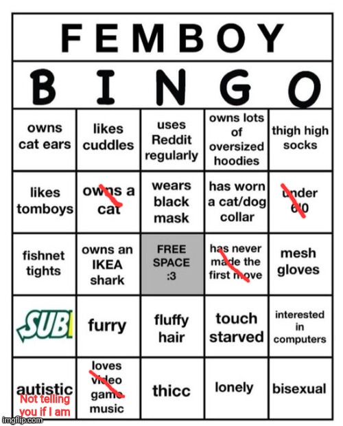 Femboy Bingo | Not telling you if I am | image tagged in femboy bingo | made w/ Imgflip meme maker