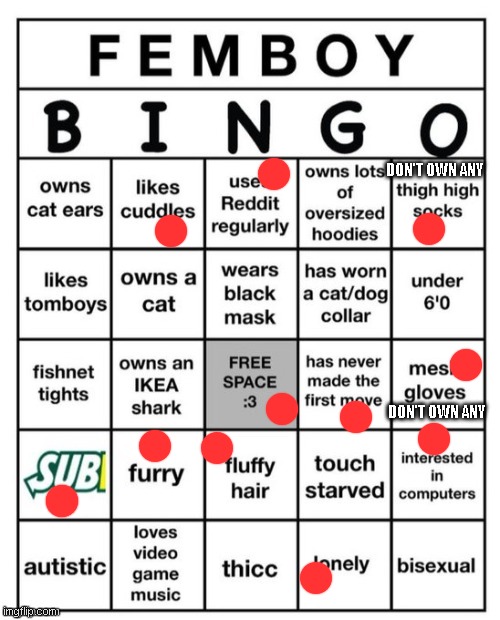 Femboy Bingo | DON'T OWN ANY; DON'T OWN ANY | image tagged in femboy bingo | made w/ Imgflip meme maker