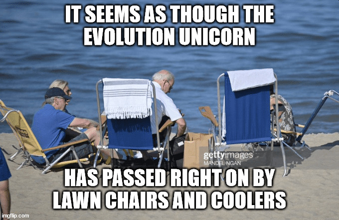 IT SEEMS AS THOUGH THE
EVOLUTION UNICORN; HAS PASSED RIGHT ON BY
LAWN CHAIRS AND COOLERS | image tagged in pre carter | made w/ Imgflip meme maker
