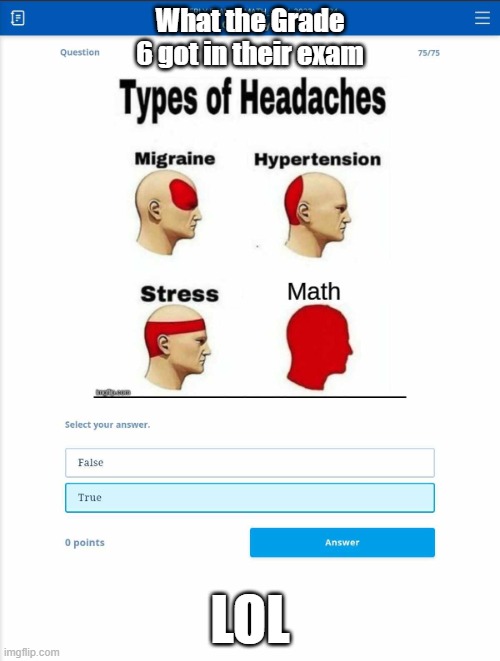 Types of headaches, or is it... | What the Grade 6 got in their exam; LOL | image tagged in so true memes | made w/ Imgflip meme maker