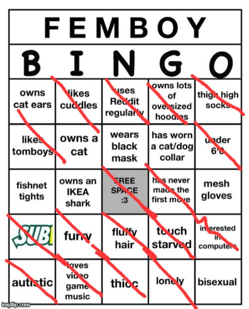 guys what does this mean | image tagged in femboy bingo | made w/ Imgflip meme maker