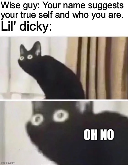 Aw man | Wise guy: Your name suggests your true self and who you are. Lil' dicky:; OH NO | image tagged in oh no black cat,rapper,lil | made w/ Imgflip meme maker
