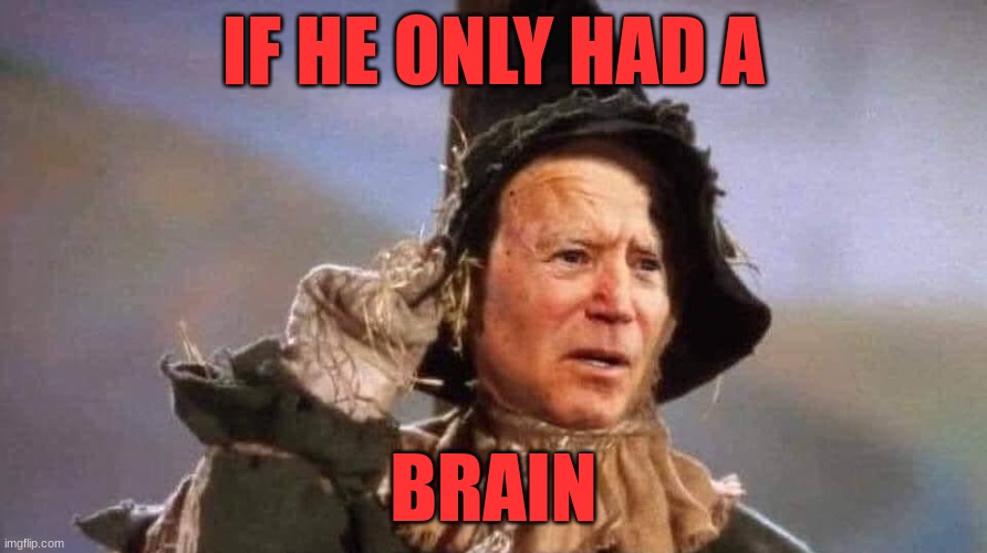 Scarejoe | IF HE ONLY HAD A; BRAIN | image tagged in biden scarecrow | made w/ Imgflip meme maker