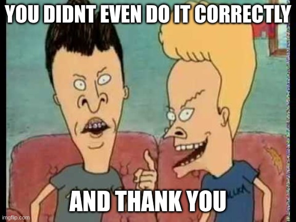 Beavis & Butt-Head he said | YOU DIDNT EVEN DO IT CORRECTLY AND THANK YOU | image tagged in beavis butt-head he said | made w/ Imgflip meme maker