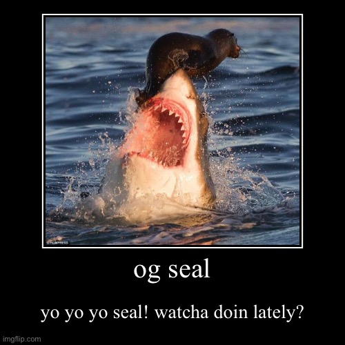 og seal | yo yo yo seal! watcha doin lately? | image tagged in funny,demotivationals | made w/ Imgflip demotivational maker