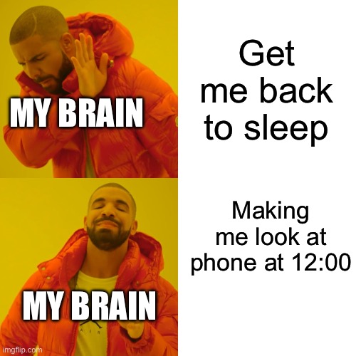 Drake Hotline Bling | Get me back to sleep; MY BRAIN; Making me look at phone at 12:00; MY BRAIN | image tagged in memes,drake hotline bling | made w/ Imgflip meme maker