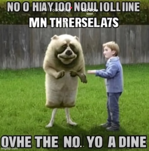 made w/ Imgflip meme maker