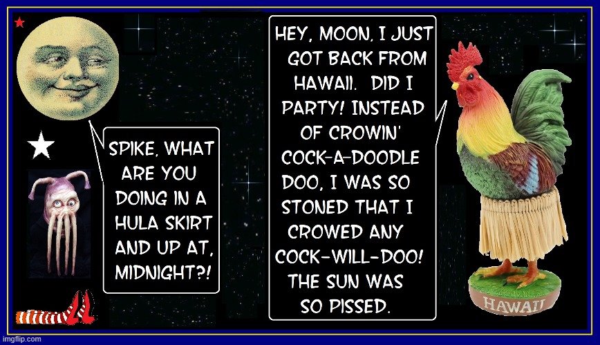 Spike the Rooster's Vacation | image tagged in vince vance,rooster,hawaii,moon,hula,cock rooster | made w/ Imgflip meme maker