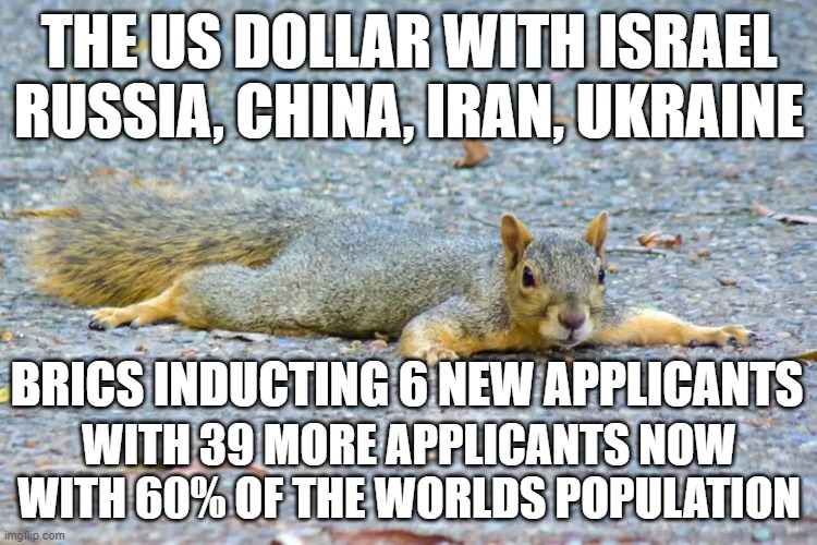 USD | THE US DOLLAR WITH ISRAEL
RUSSIA, CHINA, IRAN, UKRAINE; BRICS INDUCTING 6 NEW APPLICANTS; WITH 39 MORE APPLICANTS NOW WITH 60% OF THE WORLDS POPULATION | image tagged in dollar,usd,money,cryptocurrency,crypto,collapse | made w/ Imgflip meme maker