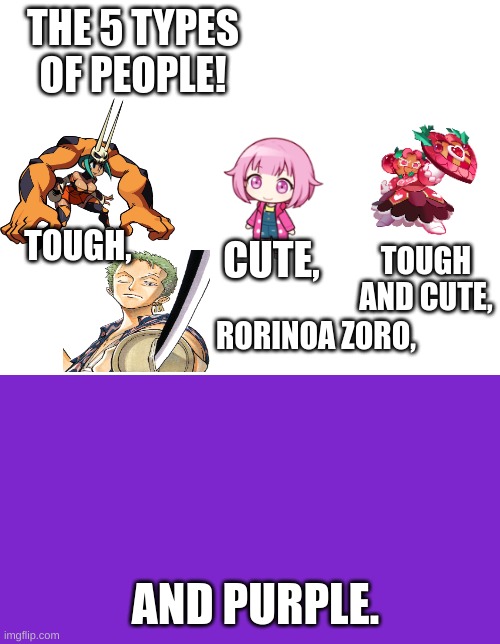 shetpost status | THE 5 TYPES OF PEOPLE! TOUGH AND CUTE, TOUGH, CUTE, RORINOA ZORO, AND PURPLE. | image tagged in cerebella,emu otori,hollyberry cookie,rorinoa zoro,purple,shetpost | made w/ Imgflip meme maker