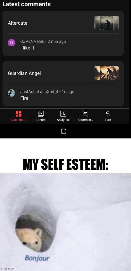 MY SELF ESTEEM: | image tagged in bonjour | made w/ Imgflip meme maker