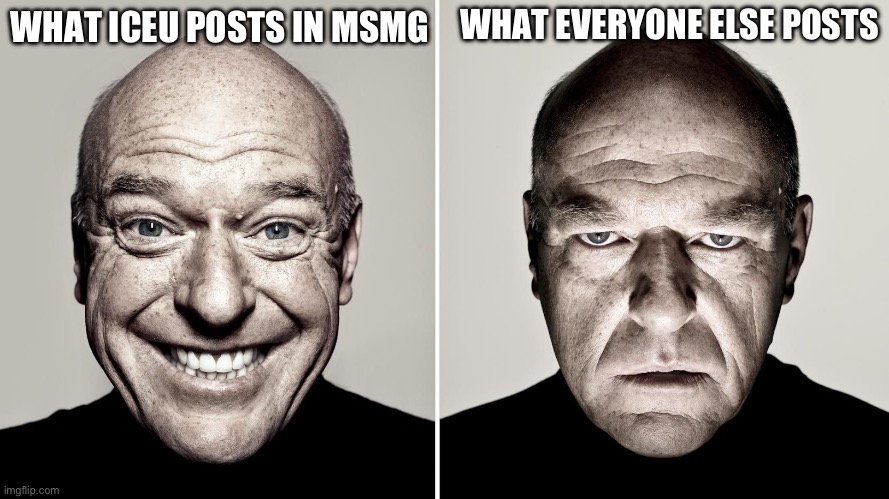 it’s not as dark | WHAT EVERYONE ELSE POSTS; WHAT ICEU POSTS IN MSMG | image tagged in dean norris's reaction | made w/ Imgflip meme maker