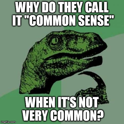 Philosoraptor Meme | WHY DO THEY CALL IT "COMMON SENSE" WHEN IT'S NOT VERY COMMON? | image tagged in memes,philosoraptor | made w/ Imgflip meme maker