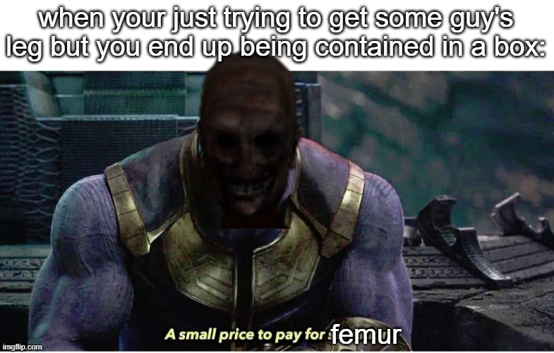 . | when your just trying to get some guy's leg but you end up being contained in a box:; femur | image tagged in a small price to pay for salvation | made w/ Imgflip meme maker