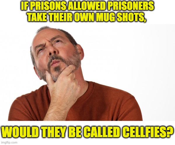 Mug shots | IF PRISONS ALLOWED PRISONERS TAKE THEIR OWN MUG SHOTS, WOULD THEY BE CALLED CELLFIES? | image tagged in hmmm | made w/ Imgflip meme maker