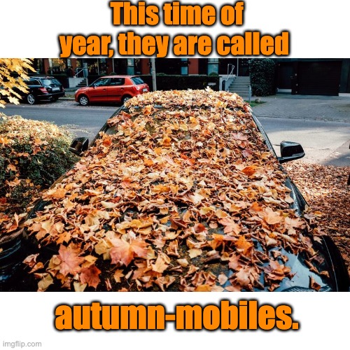 Time to leave town | This time of year, they are called; autumn-mobiles. | made w/ Imgflip meme maker