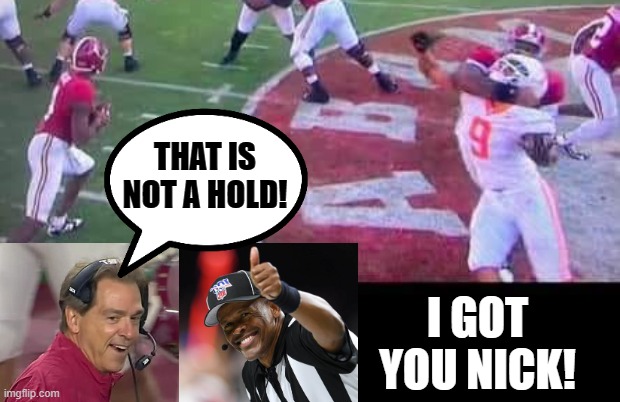 That is not a hold, I got you Nick! | THAT IS NOT A HOLD! I GOT YOU NICK! | image tagged in referee,blind man | made w/ Imgflip meme maker