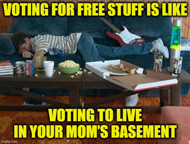 Socialist Paradise | VOTING FOR FREE STUFF IS LIKE; VOTING TO LIVE IN YOUR MOM’S BASEMENT | image tagged in socialism | made w/ Imgflip meme maker