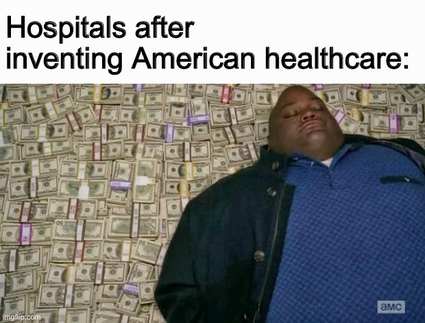 Fun fact American hospitals are corrupt as hell | Hospitals after inventing American healthcare: | image tagged in huell money | made w/ Imgflip meme maker