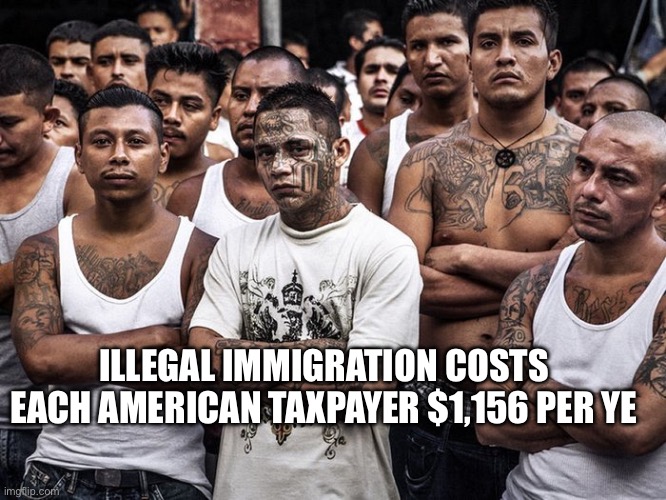 Bidendestruction | ILLEGAL IMMIGRATION COSTS EACH AMERICAN TAXPAYER $1,156 PER YE | image tagged in ms13 votes democrat,funny memes,funny | made w/ Imgflip meme maker