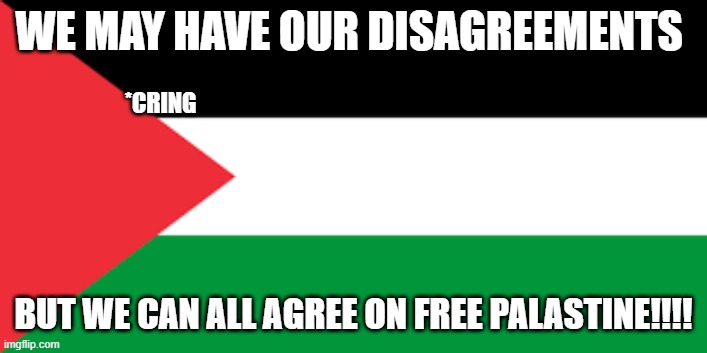 its cringe ik | WE MAY HAVE OUR DISAGREEMENTS; *CRING; BUT WE CAN ALL AGREE ON FREE PALASTINE!!!! | image tagged in bruh | made w/ Imgflip meme maker