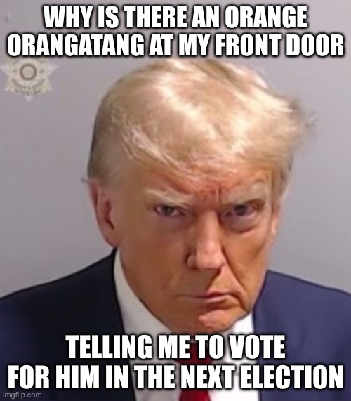 can't tell the diffrence | WHY IS THERE AN ORANGE ORANGATANG AT MY FRONT DOOR; TELLING ME TO VOTE FOR HIM IN THE NEXT ELECTION | image tagged in donald trump mugshot,trump,hahaha,election,politics,bruh | made w/ Imgflip meme maker