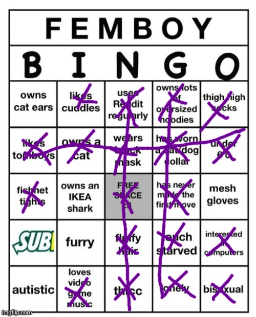 Gentlemen... (Shadow note:  its canon now :0) | image tagged in femboy bingo | made w/ Imgflip meme maker