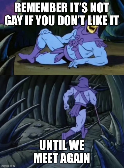 Hehe funny | REMEMBER IT’S NOT GAY IF YOU DON’T LIKE IT; UNTIL WE MEET AGAIN | image tagged in disturbing facts skeletor | made w/ Imgflip meme maker
