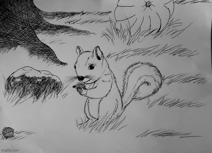 Squirrel drawing | image tagged in squirrel,squirrels,autumn,pumpkin,nature,drawing | made w/ Imgflip meme maker