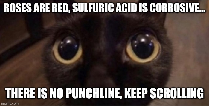 Skrunkly | ROSES ARE RED, SULFURIC ACID IS CORROSIVE... THERE IS NO PUNCHLINE, KEEP SCROLLING | image tagged in skrunkly | made w/ Imgflip meme maker