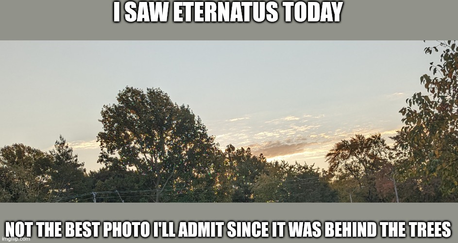Idk | I SAW ETERNATUS TODAY; NOT THE BEST PHOTO I'LL ADMIT SINCE IT WAS BEHIND THE TREES | image tagged in eternatus,clouds | made w/ Imgflip meme maker