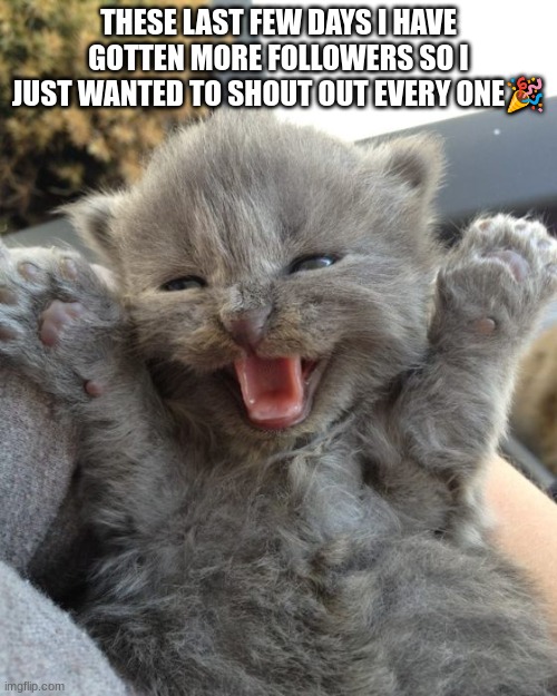 Thank you so much for your support | THESE LAST FEW DAYS I HAVE GOTTEN MORE FOLLOWERS SO I JUST WANTED TO SHOUT OUT EVERY ONE🎉 | image tagged in yay kitty | made w/ Imgflip meme maker