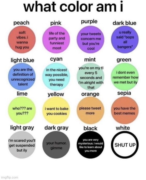 I have a feeling that at least half of yall don't know me. Oh well | image tagged in what color am i | made w/ Imgflip meme maker