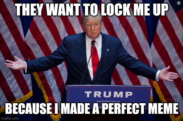 donald trump | THEY WANT TO LOCK ME UP; BECAUSE I MADE A PERFECT MEME | image tagged in donald trump | made w/ Imgflip meme maker