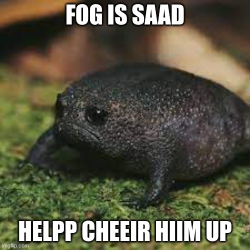 Sad frog | FOG IS SAAD; HELPP CHEEIR HIIM UP | image tagged in sad frog,sad,cheer,help | made w/ Imgflip meme maker